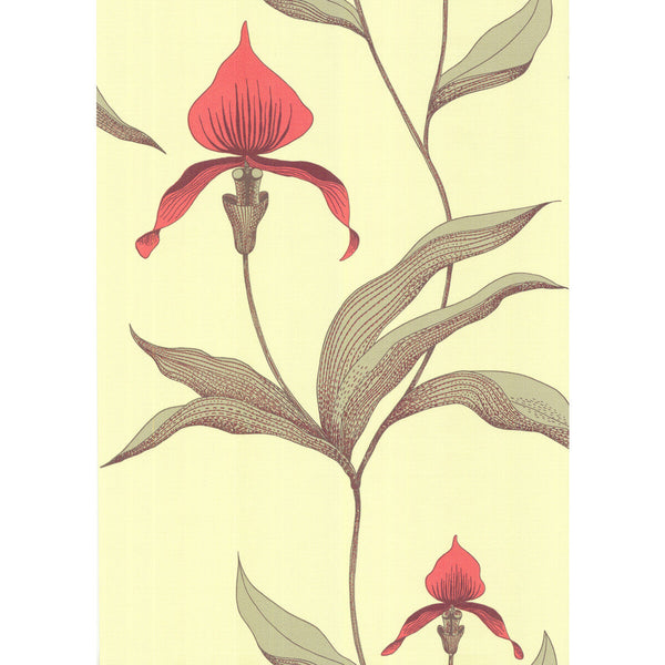 Orchid - Lime/Or Light Yellow | Cole & Son