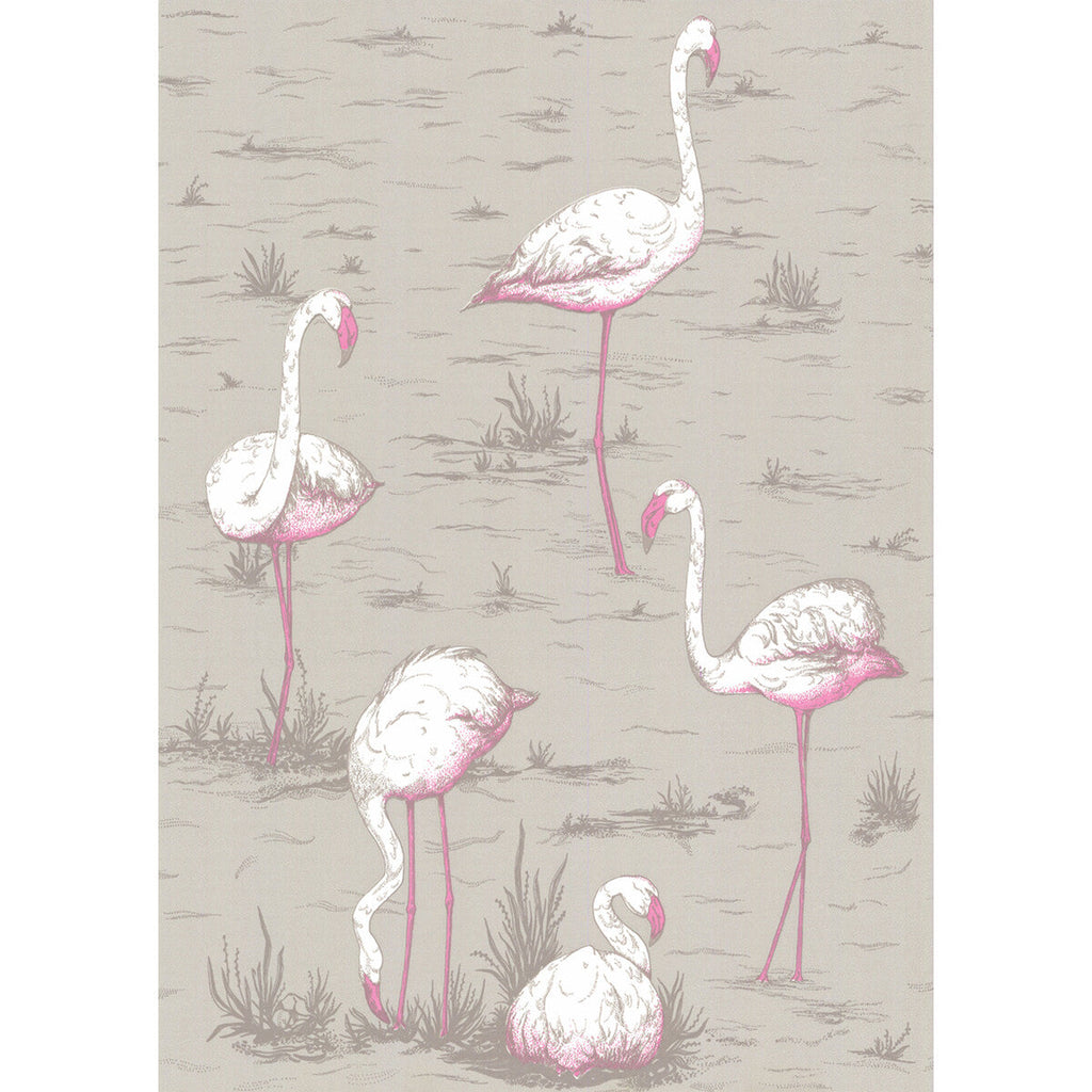 Flamingos - Grey Grey By Cole & Son | Cole & Son New Contemporary | Animal/Insects Wallcovering