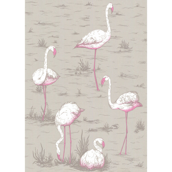 Flamingos - Grey Grey By Cole & Son | Cole & Son New Contemporary | Animal/Insects Wallcovering
