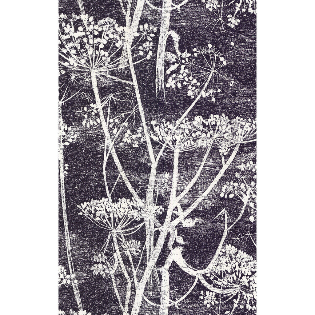 Cow Parsley - White/Blk Black By Cole & Son | Cole & Son New Contemporary | Botanical & Floral Wallcovering