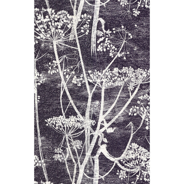 Cow Parsley - White/Blk Black By Cole & Son | Cole & Son New Contemporary | Botanical & Floral Wallcovering