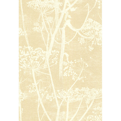 Cow Parsley - White/Bge Beige | Cole & Son