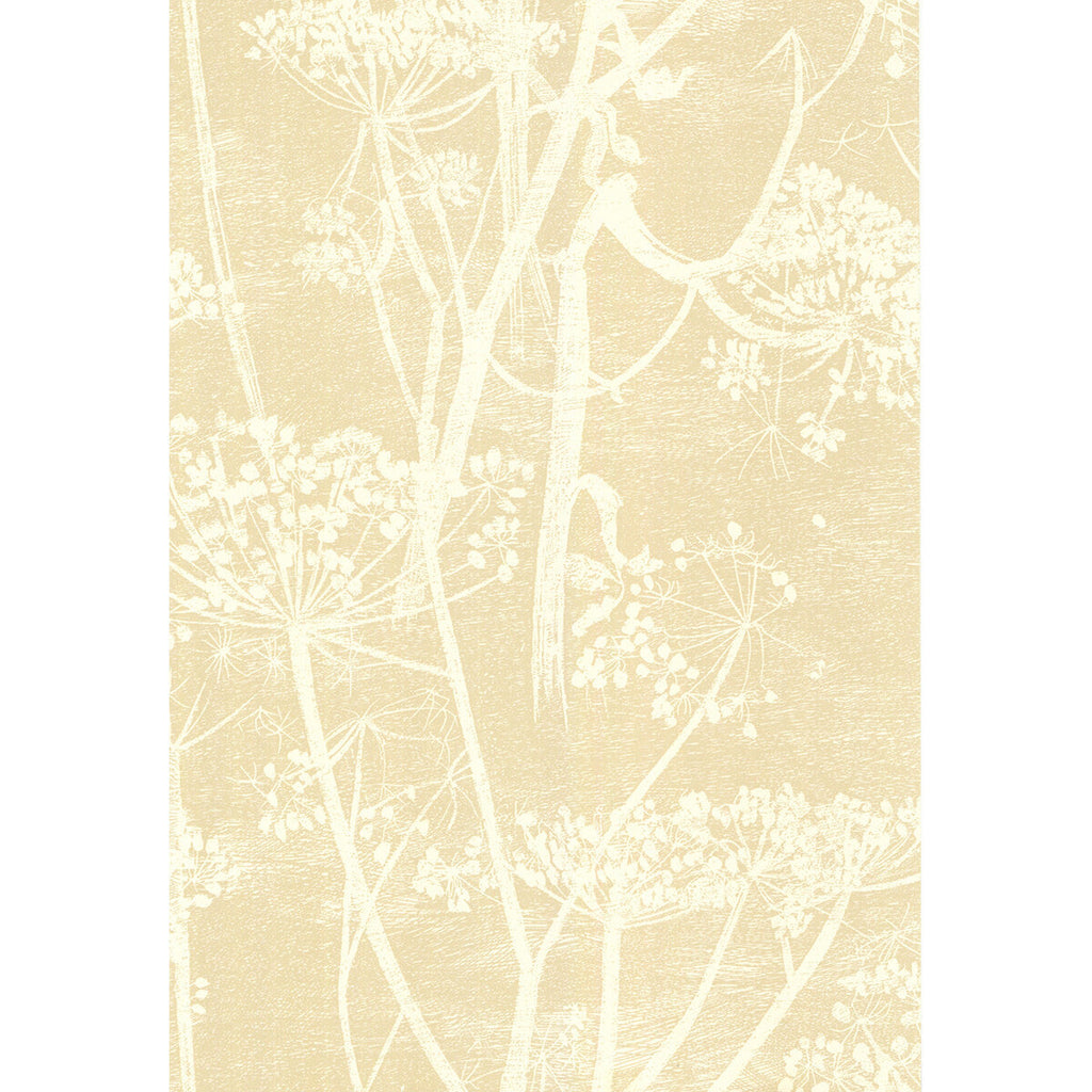 Cow Parsley - White/Bge Beige By Cole & Son | Cole & Son New Contemporary | Botanical & Floral Wallcovering