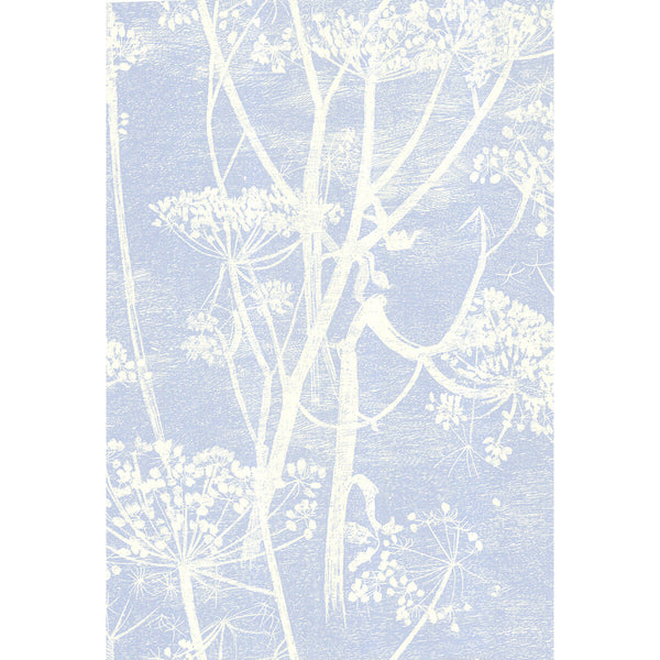 Cow Parsley - White/Blu  By Cole & Son | Cole & Son New Contemporary | Botanical & Floral Wallcovering