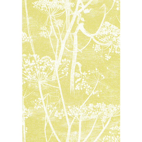 Cow Parsley - White/Y Yellow By Cole & Son | Cole & Son New Contemporary | Botanical & Floral Wallcovering