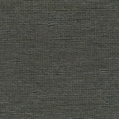 Arctic Shades Wallcovering - Charcoal Gray Wallcovering | Arte International
