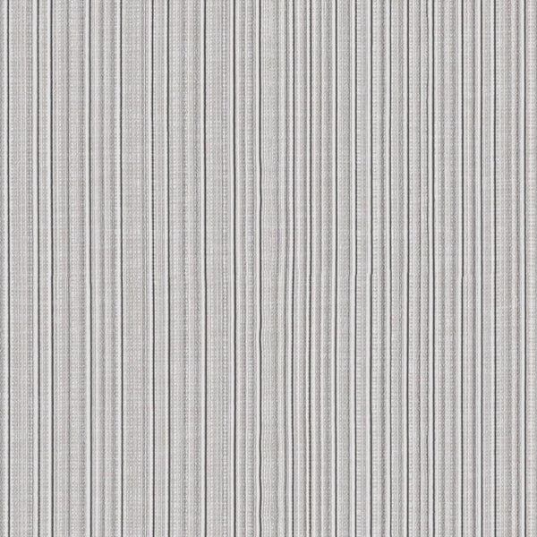 Tocca, Basmati Wallcoverings | Designtex
