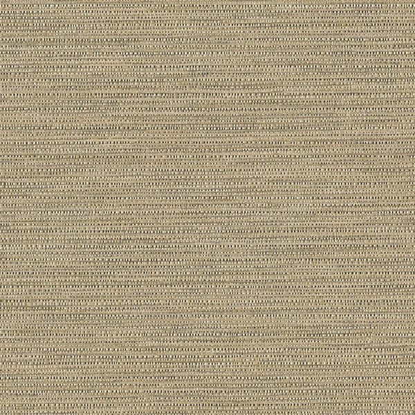 Anitra, Dijon Wallcoverings | Designtex