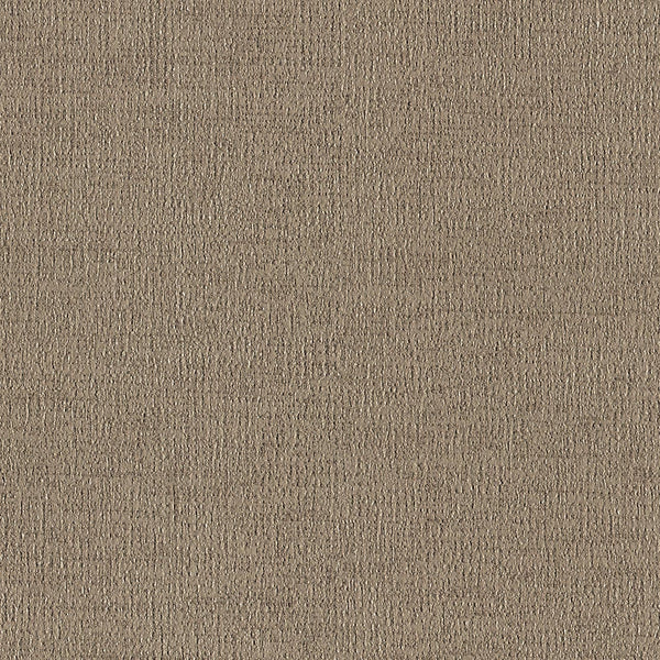Timo, Earth Wallcoverings | Designtex