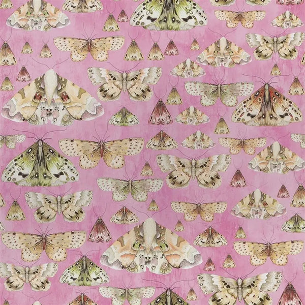 Issoria Butterfly Rose | Designers Guild Europe