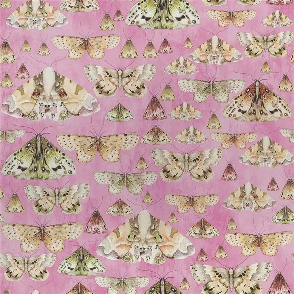 Issoria Butterfly Rose Wallpaper | Designers Guild Europe