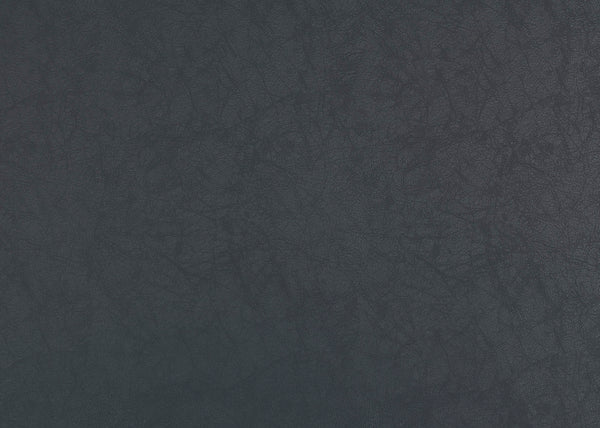 Colorado Fabric - Color 8 | Carnegie