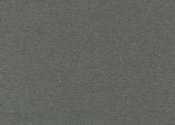 Carnegie Primary 3