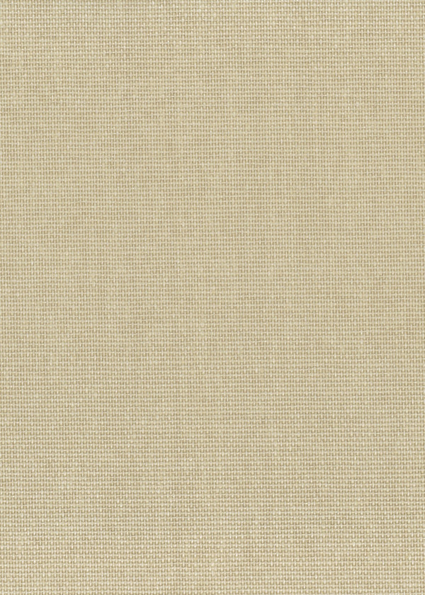 Rowayton-Forest Land Paper Weave Wallcovering | Phillipe Romano