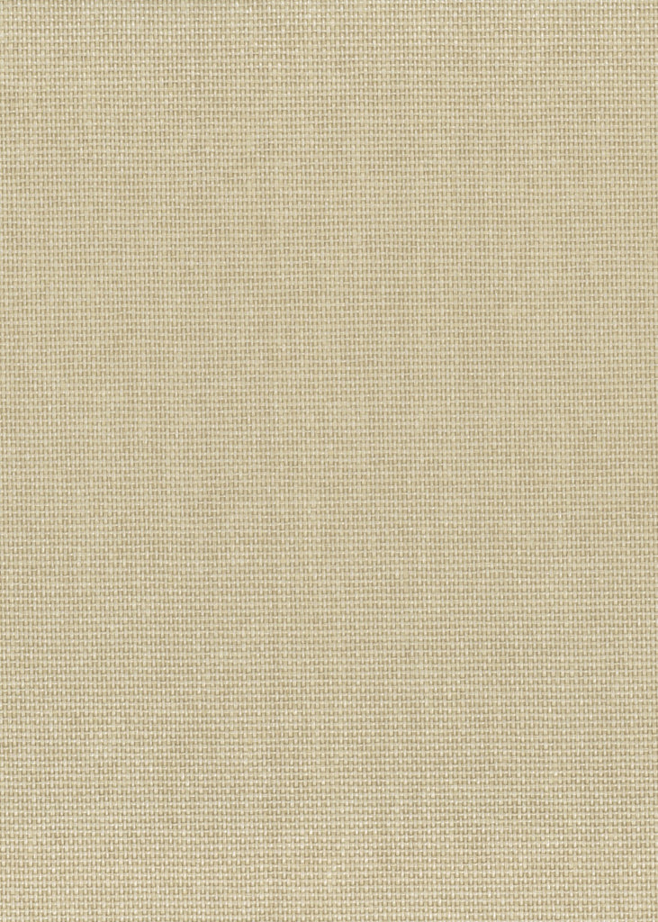 Rowayton-Forest Land Paper Weave Wallcovering | Phillipe Romano — PWV-500250