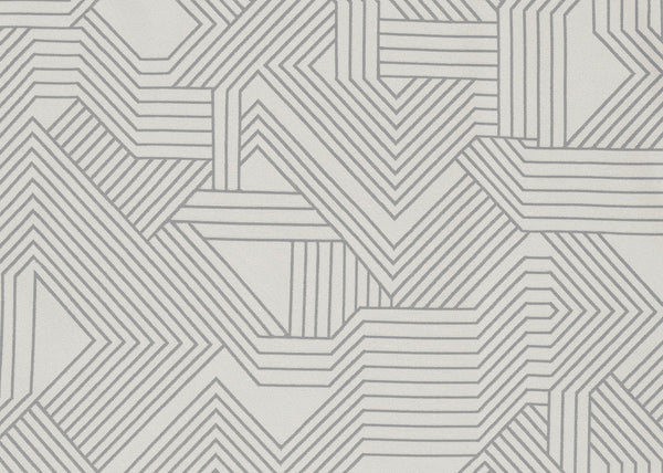 Maze Print Fabric - Color 101 | Carnegie