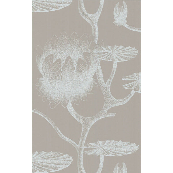 Lily - White/Grey White By Cole & Son | Cole & Son New Contemporary Ii |Botanical & Floral  Wallcovering Print