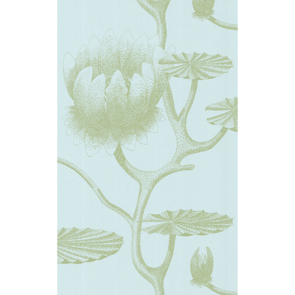 Lily - Sage/Pale Blue Green By Cole & Son | Cole & Son New Contemporary Ii |Botanical & Floral  Wallcovering Print