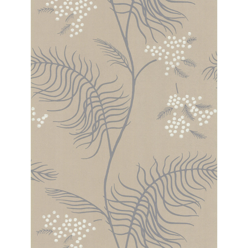 Mimosa - Sandstone Beige By Cole & Son | Cole & Son New Contemporary Ii |Botanical & Floral  Wallcovering Print