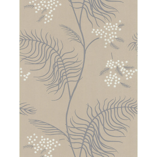 Mimosa - Sandstone Beige By Cole & Son | Cole & Son New Contemporary Ii |Botanical & Floral  Wallcovering Print
