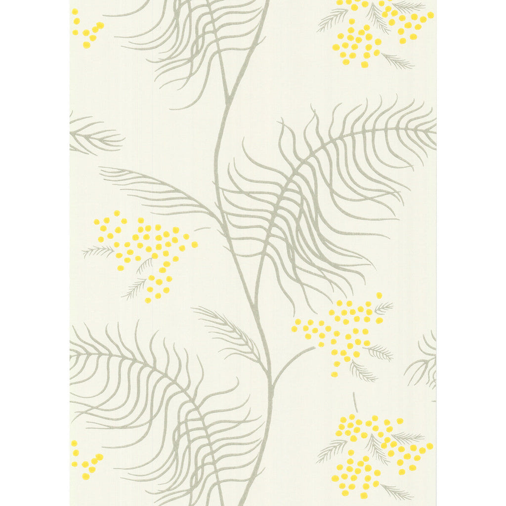 Mimosa - White White By Cole & Son | Cole & Son New Contemporary Ii |Botanical & Floral  Wallcovering Print