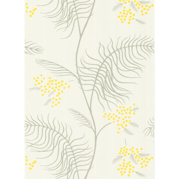 Mimosa - White White By Cole & Son | Cole & Son New Contemporary Ii |Botanical & Floral  Wallcovering Print