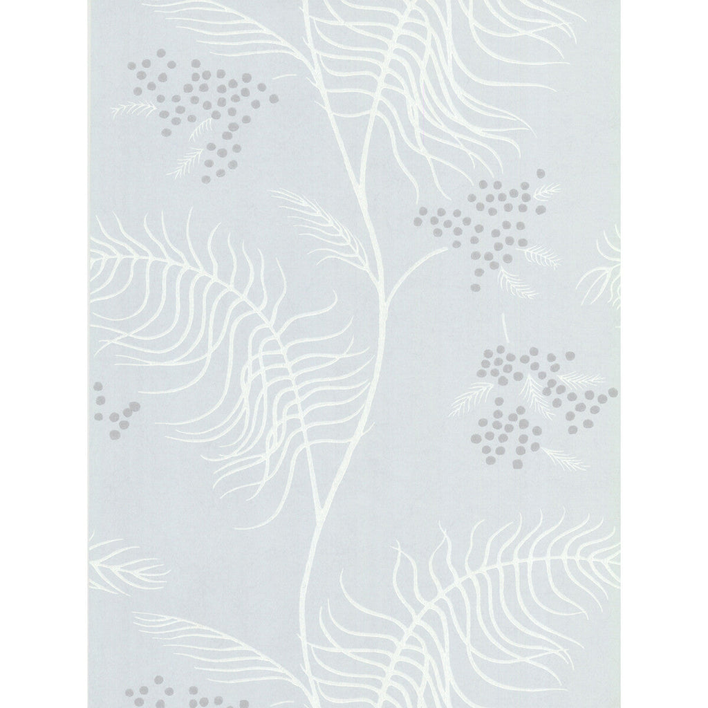 Mimosa - Slate Grey By Cole & Son | Cole & Son New Contemporary Ii |Botanical & Floral  Wallcovering Print