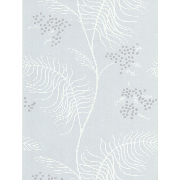 Mimosa - Slate Grey By Cole & Son | Cole & Son New Contemporary Ii |Botanical & Floral  Wallcovering Print