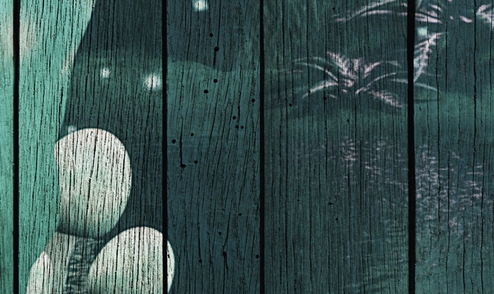 Walls By Patel 2 Green Wallcovering | AS Creation