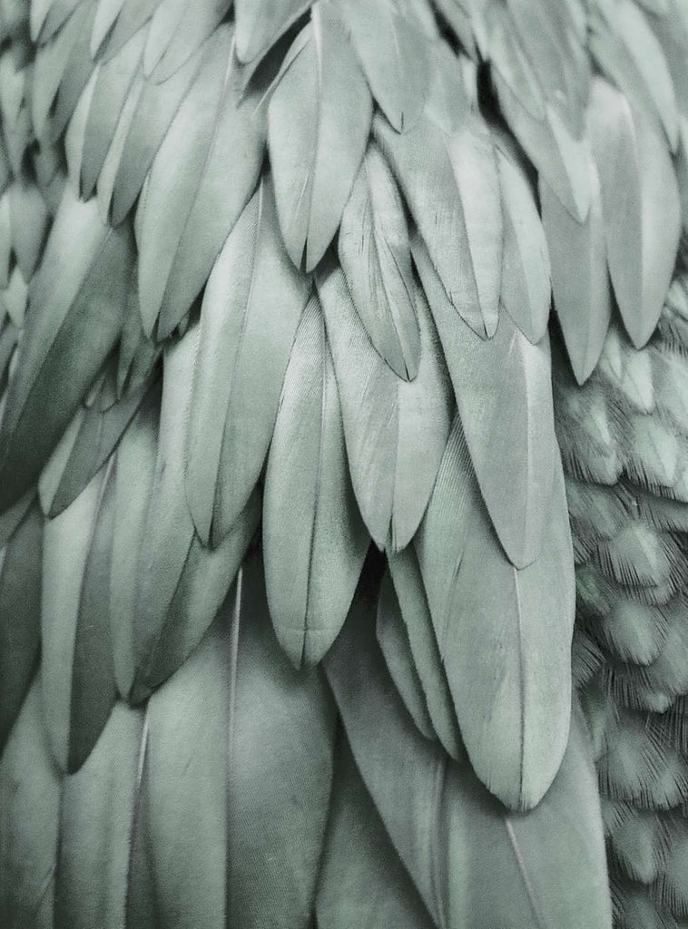 Artist Green Wallcovering | AS Creation