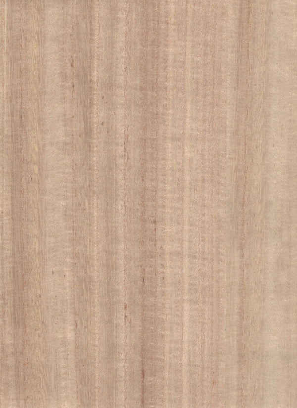 Camden-Fawn Wood Veneer Wallcovering | Phillipe Romano