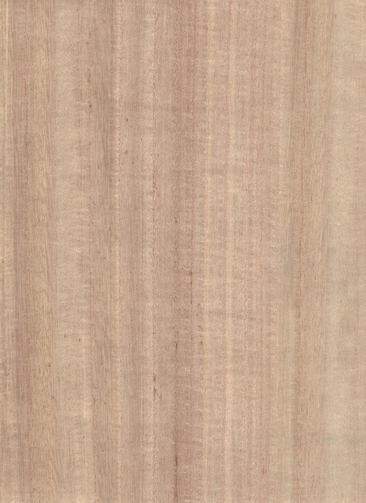 Camden-Fawn Wood Veneer Wallcovering | Phillipe Romano — WOOD-500270