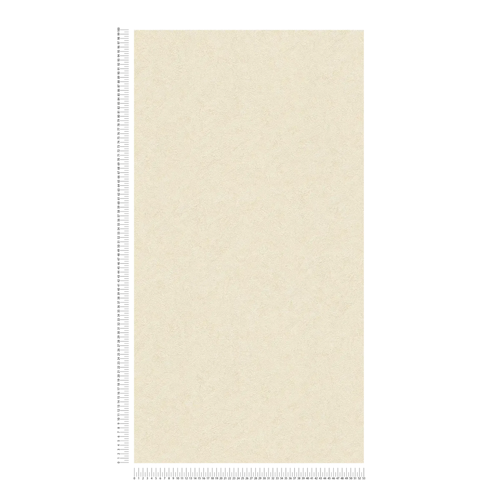 Styleguide Modern 2027 Beige Wallcovering | AS Creation