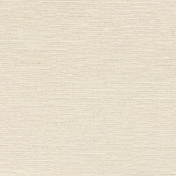 Glacier Fabric - Color 2 | Carnegie