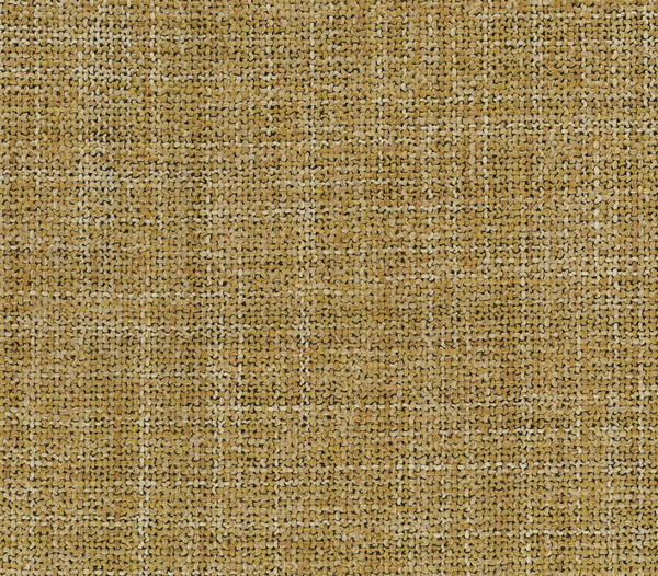 Nina Campbell Fabric - Goldenrod Wallcovering | Nina Campbell