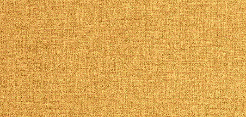 Athens Etana Weave Sunbathing Wallcovering | Phillipe Romano