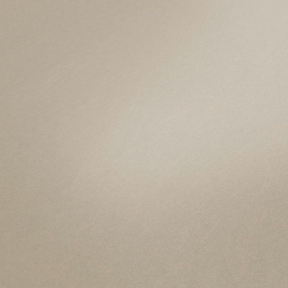 Alpha Beige Wallcovering | AS Creation