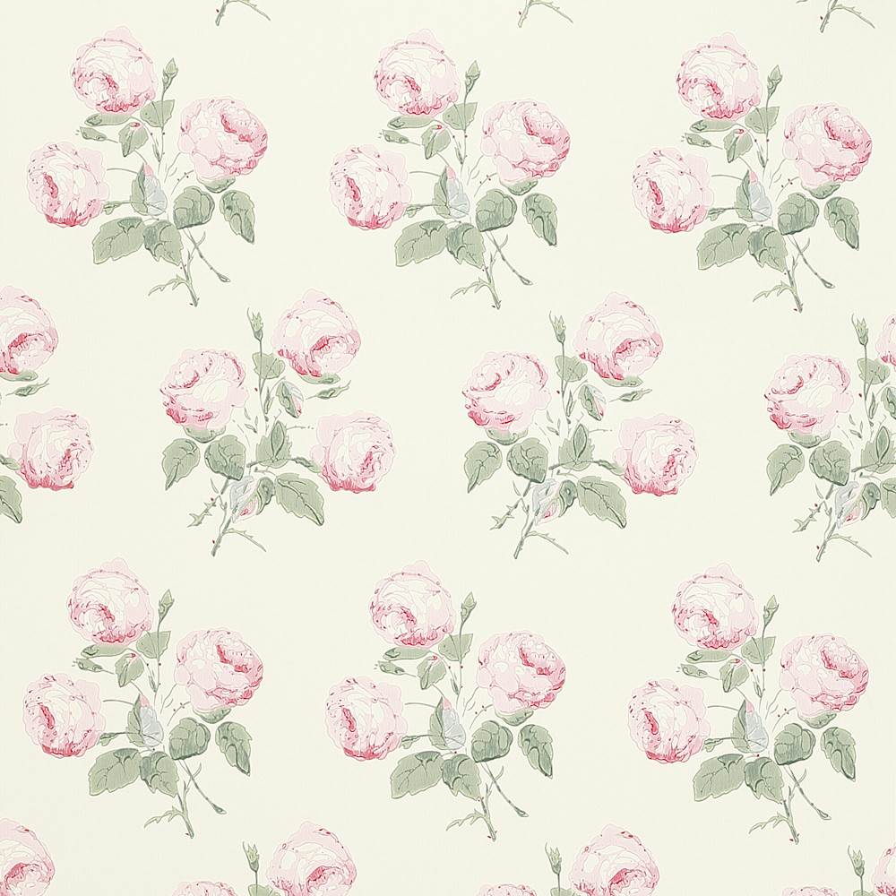 BOWOOD Wallpaper  | Colefax and Fowler