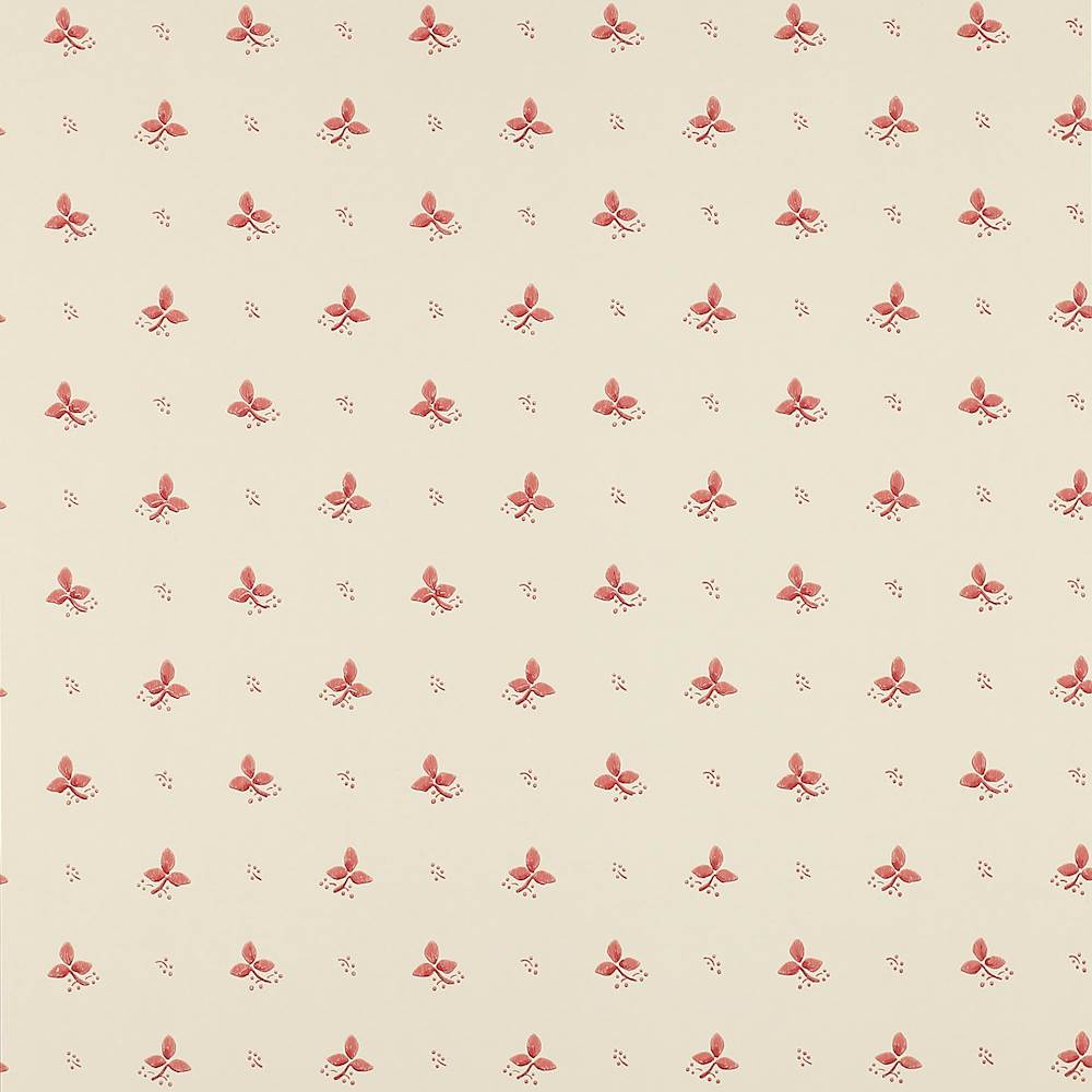 Ashling Wallpaper  | Colefax and Fowler