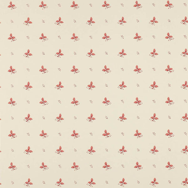 Ashling Wallpaper  | Colefax and Fowler