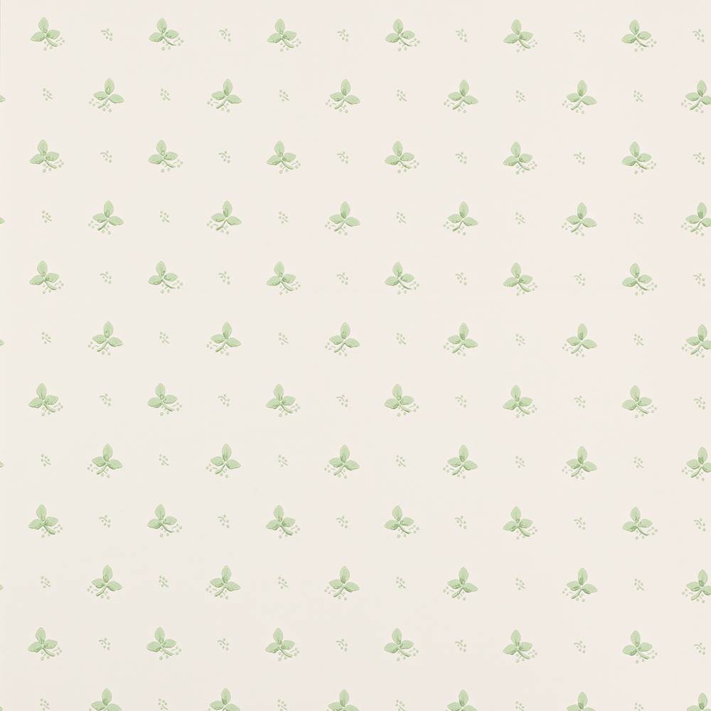 Ashling Wallpaper  | Colefax and Fowler