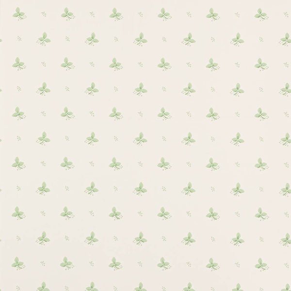 Ashling Wallpaper  | Colefax and Fowler