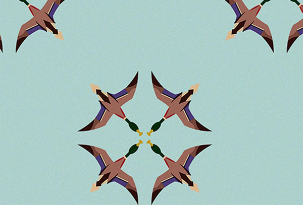 Ducks in Flight  - El Baile | Coordone Europe