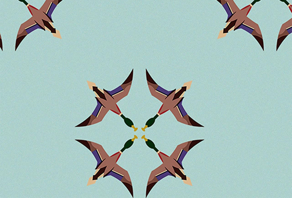 Ducks in Flight  - El Baile