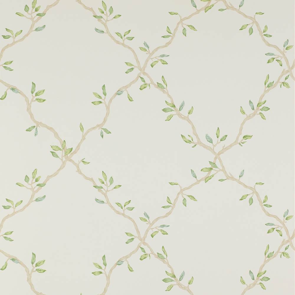 Leaf Trellis Wallpaper  | Colefax and Fowler
