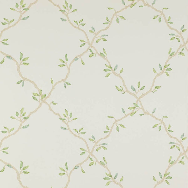 Leaf Trellis Wallpaper  | Colefax and Fowler