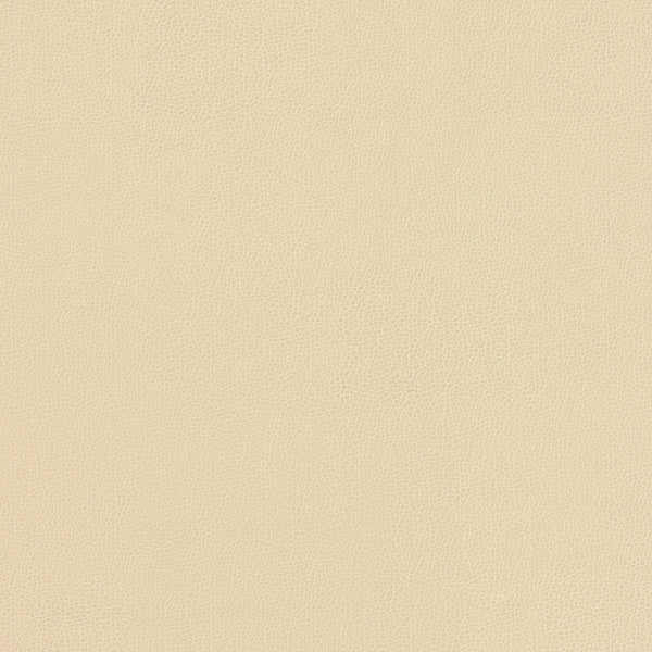 Carnegie Siltech Grain - Color 20