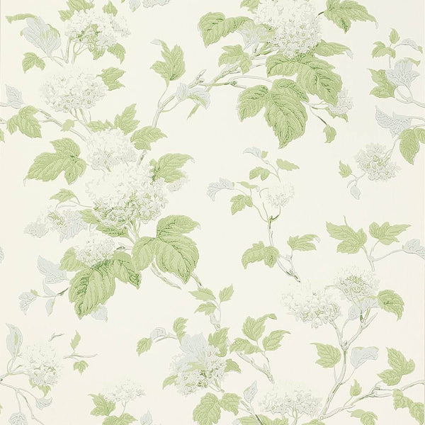 CHANTILLY Wallpaper  | Colefax and Fowler