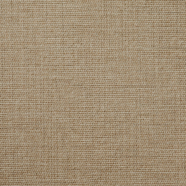 Athens Unify Sand Dollar Wallcovering | Phillipe Romano
