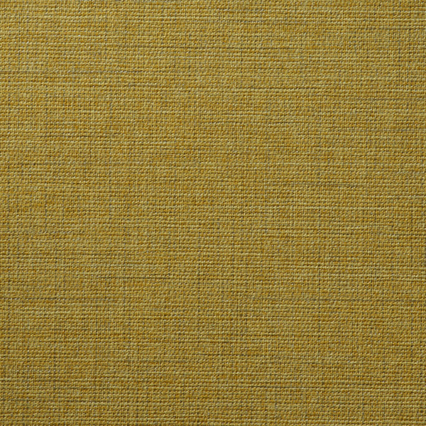 Athens Unify Citrus Twist Wallcovering | Phillipe Romano